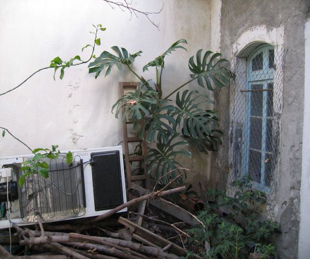 Image No.3-2 Bed House for sale