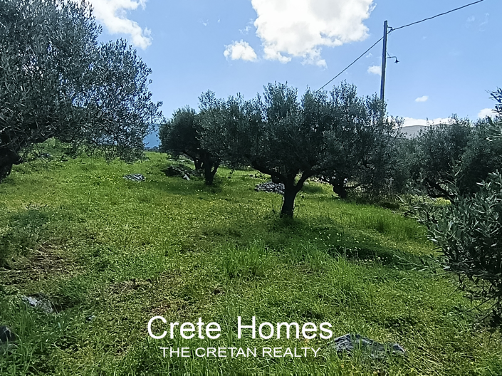 Image No.17-Land for sale