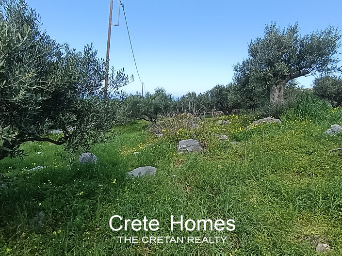 Image No.19-Land for sale