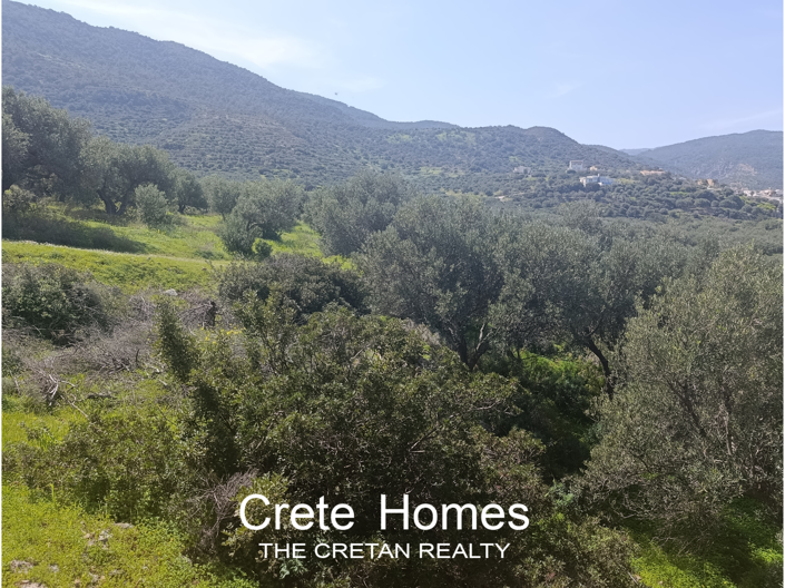 Image No.22-Land for sale