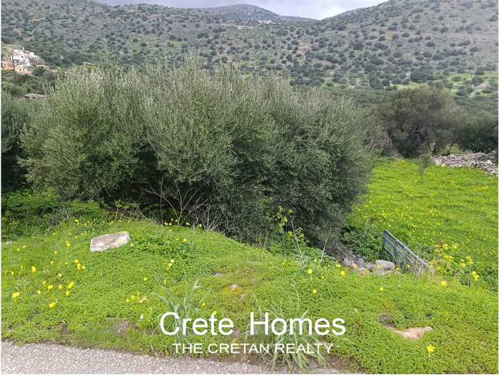 Image No.23-Land for sale