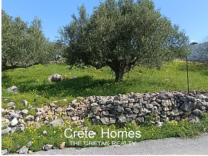 Image No.4-Land for sale