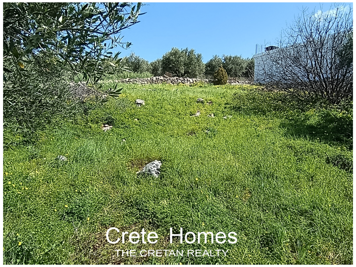 Image No.6-Land for sale