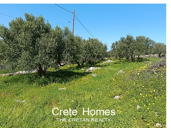 Image No.7-Land for sale