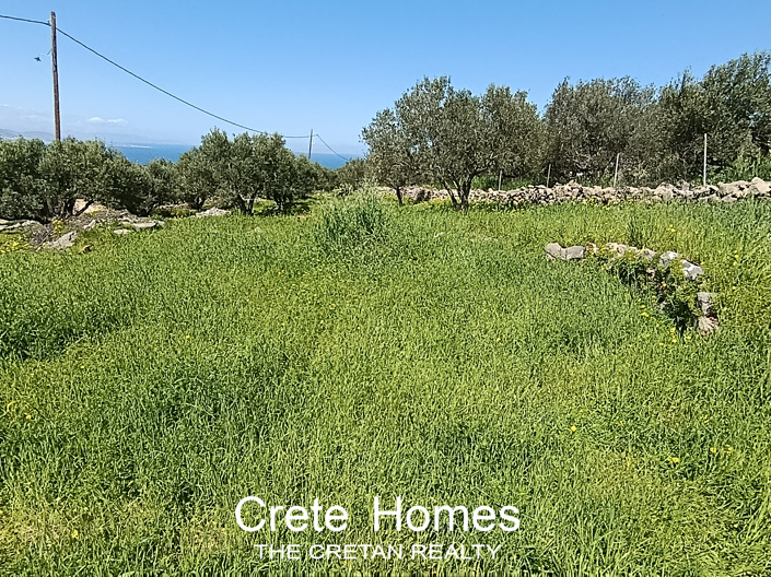 Image No.8-Land for sale