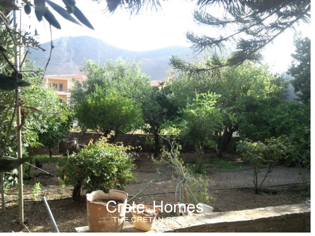 Image No.36-3 Bed House for sale