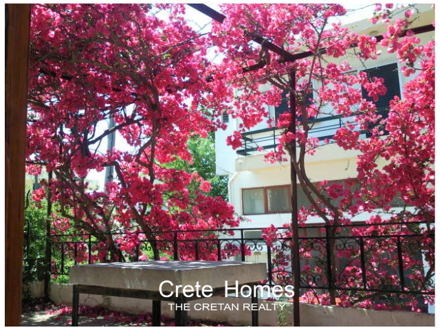 Image No.39-3 Bed House for sale