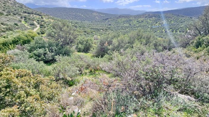 Image No.11-Land for sale