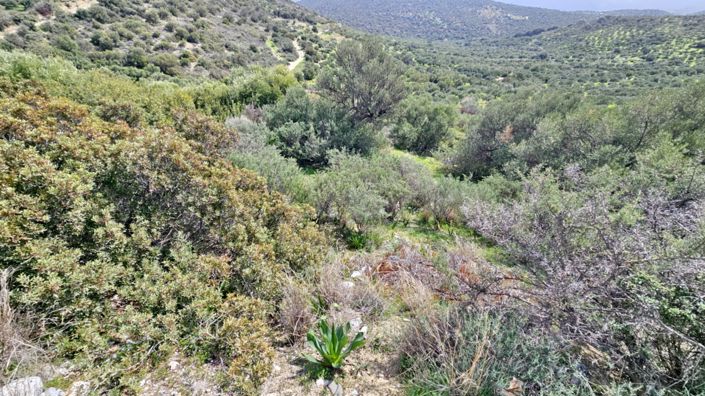 Image No.17-Land for sale