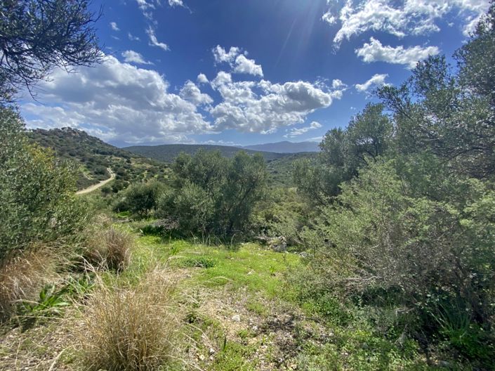 Image No.4-Land for sale