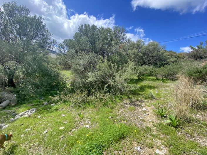 Image No.5-Land for sale