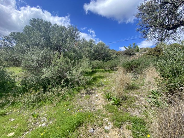 Image No.6-Land for sale