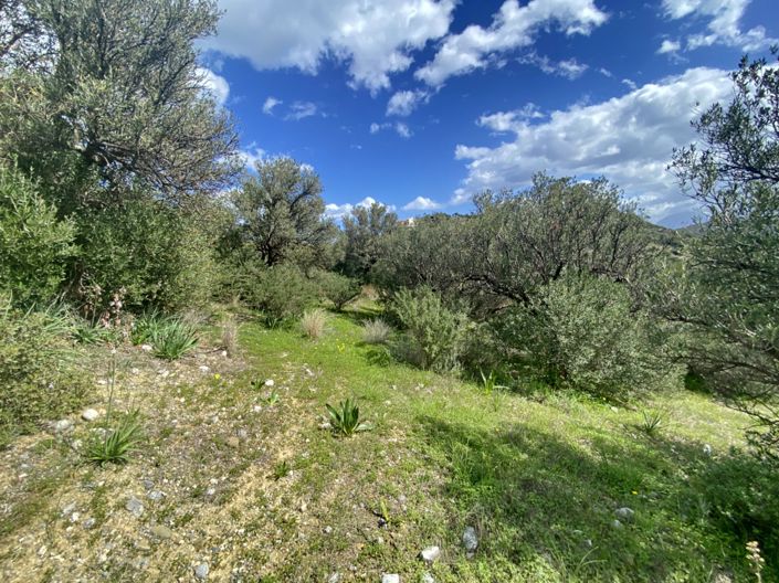 Image No.8-Land for sale