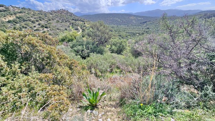 Image No.9-Land for sale