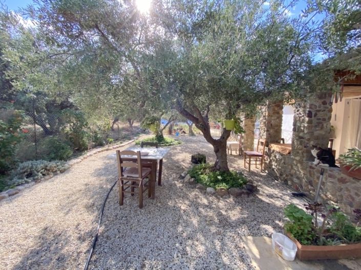 Image No.25-3 Bed House for sale