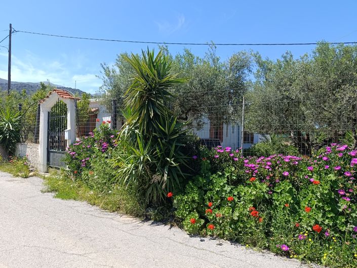 Image No.3-3 Bed House for sale