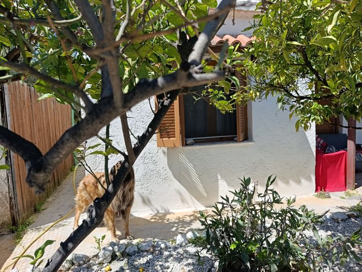 Image No.31-3 Bed House for sale