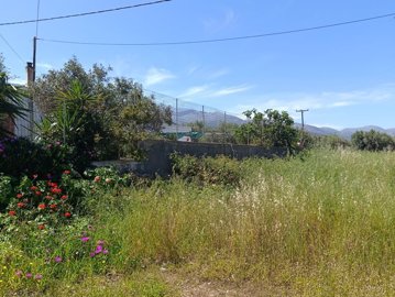 img20260429114823-1