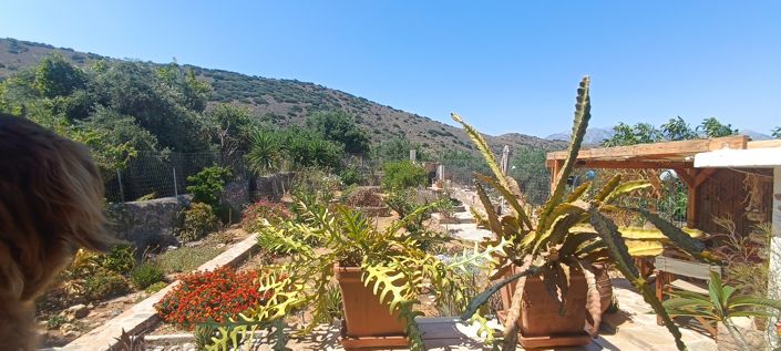 Image No.47-2 Bed House for sale