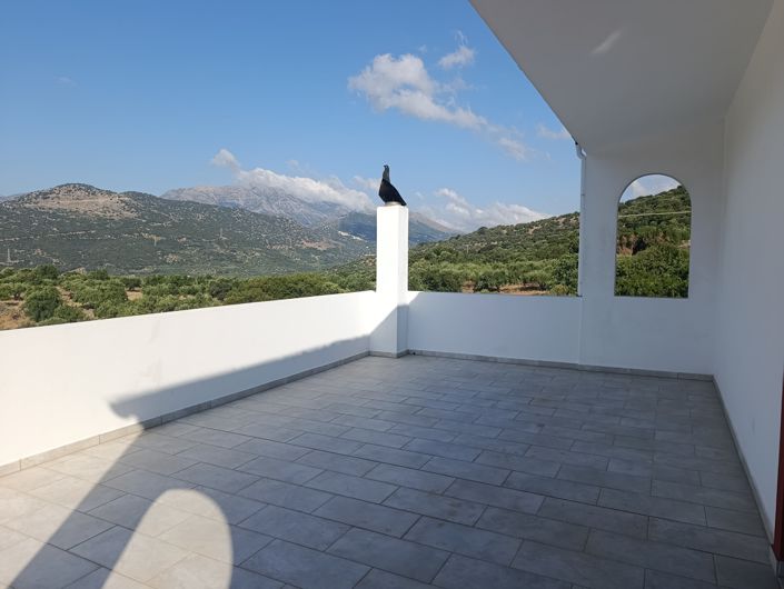Image No.31-3 Bed House for sale
