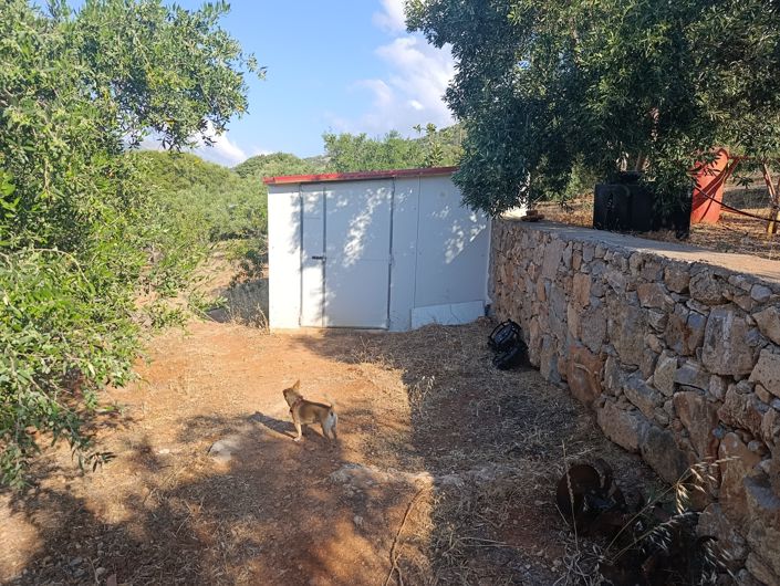 Image No.44-3 Bed House for sale