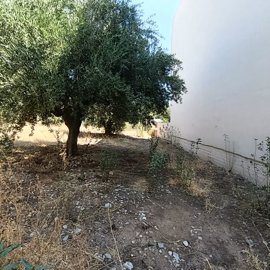img20260819113244