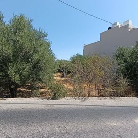 img20260819113320