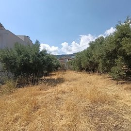img20260819113152