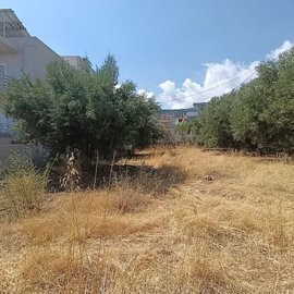 img20260819113203