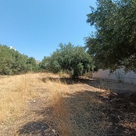 img20260819113224