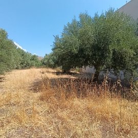 img20260819113234