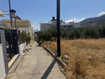 img3446