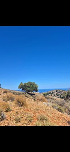 HAVGAS, ELOUNDA – PRIME LAND INVESTMENT OPPORTUNITY