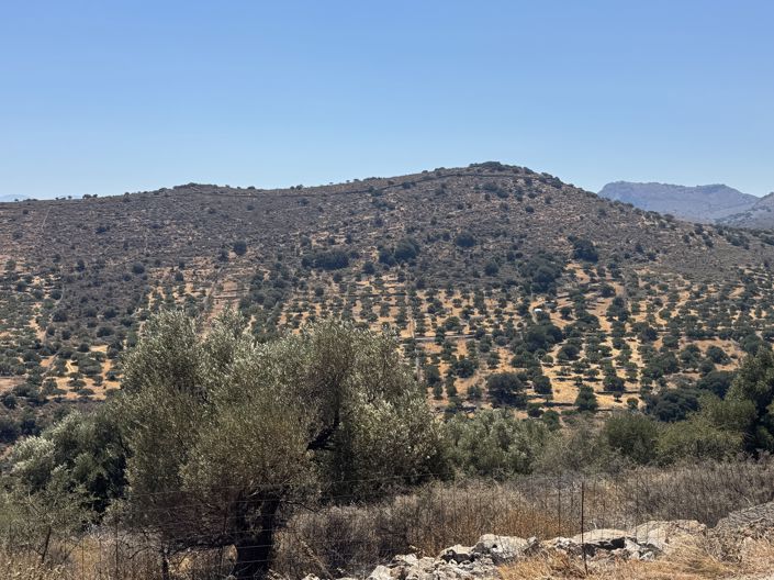 Image No.12-Land for sale