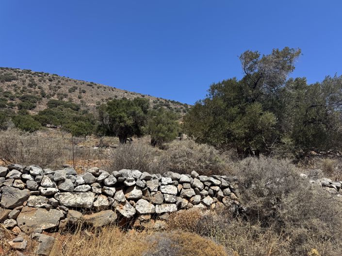Image No.3-Land for sale