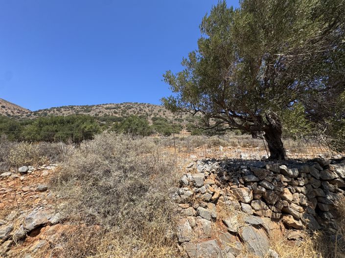 Image No.6-Land for sale