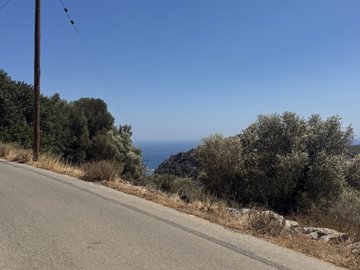 img3560