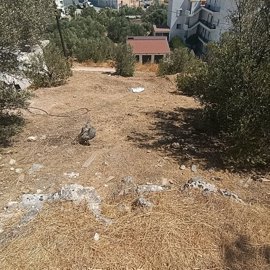 img20260828121107-1