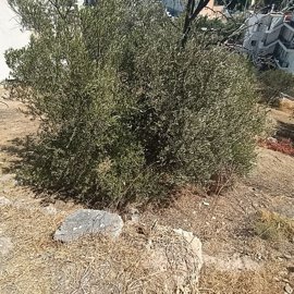 img20260828121117-1
