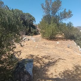 img20260828121136-1