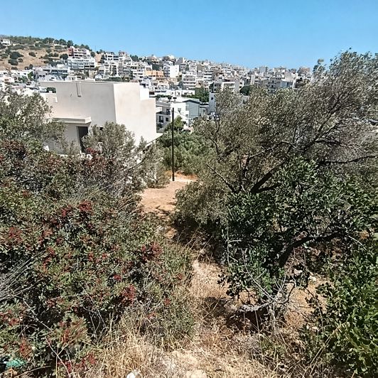 Image No.22-Land for sale