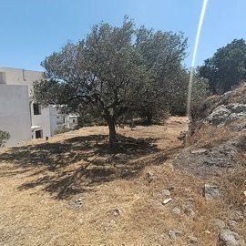 img20260828121003-1