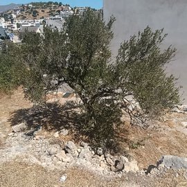 img20260828121021