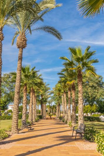 Image No.19-Appartement de 2 chambres à vendre à La Torre Golf Resort