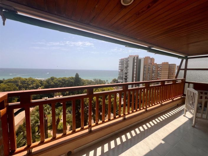 Image No.11-Propriété de 2 chambres à vendre à Campoamor