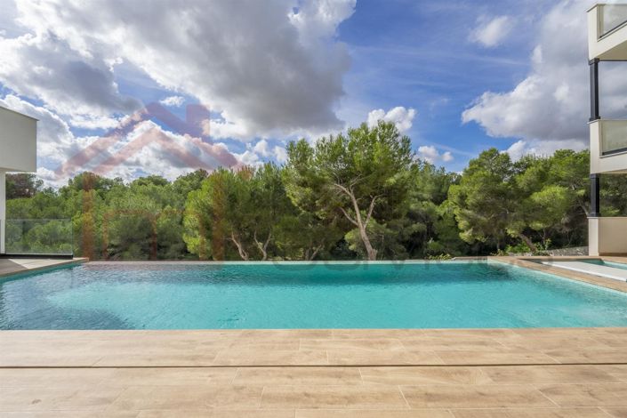 Image No.41-5 Bed Villa for sale