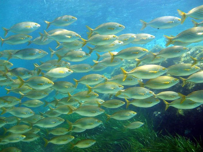 Image No.12-Property for sale