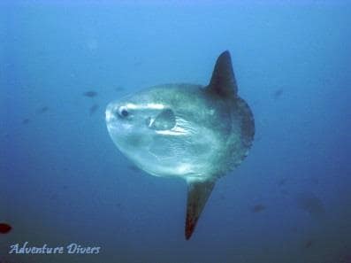 Image No.17-Property for sale