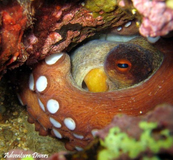 Image No.19-Property for sale