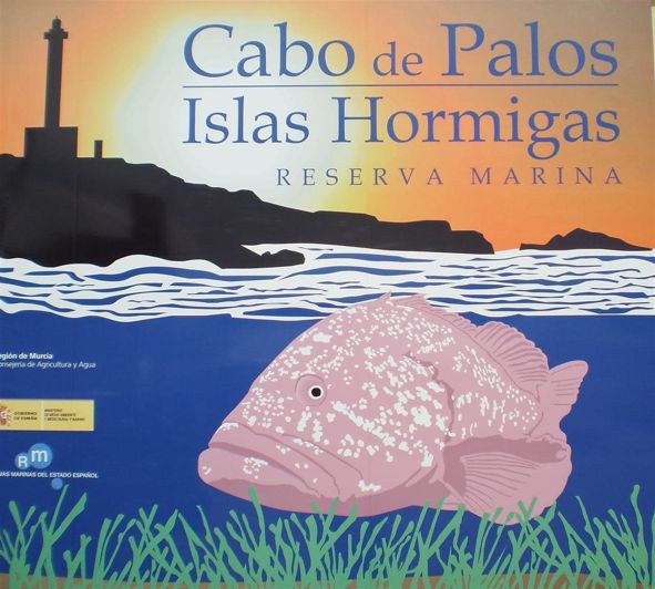 Image No.20-Property for sale